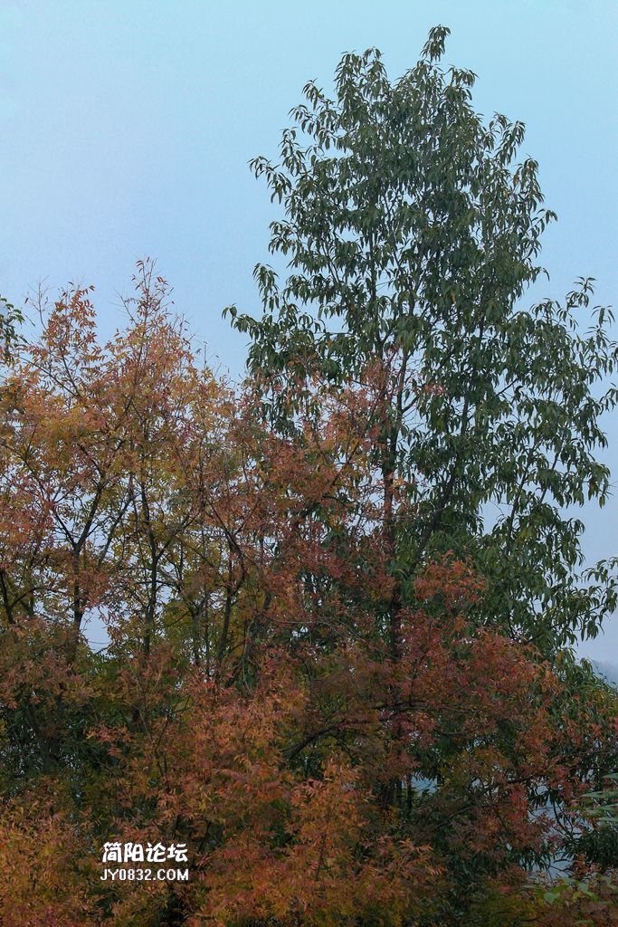 IMG_3868.jpg