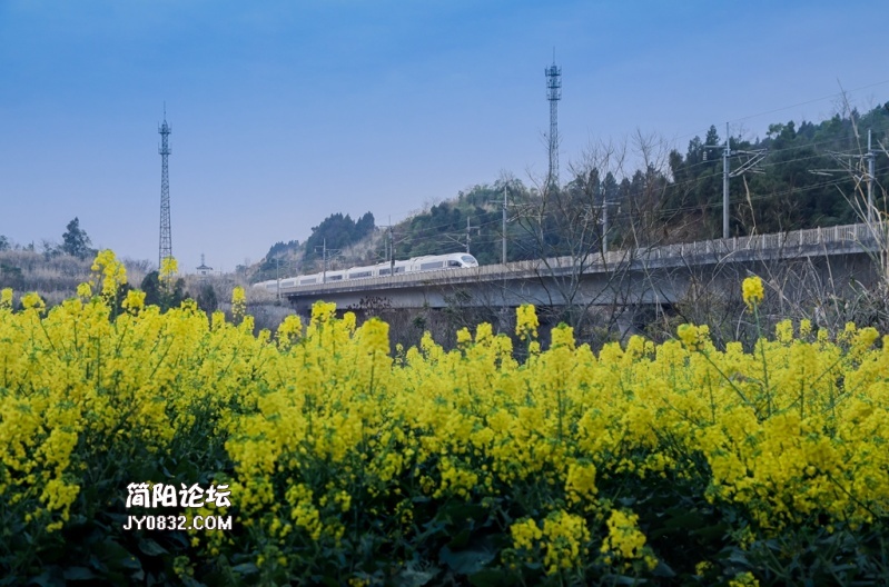 3C7A0368.jpg