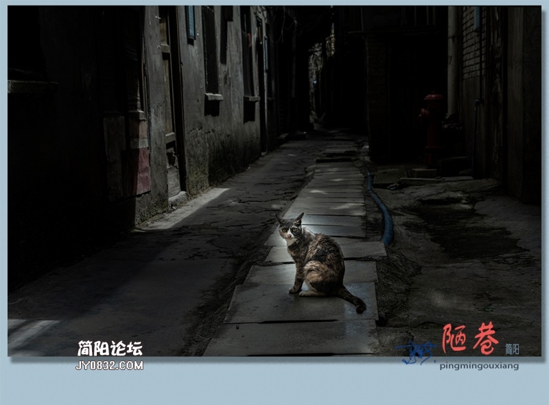 陋巷——12.jpg