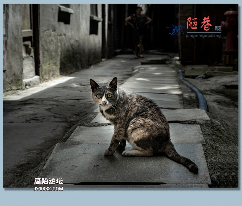 陋巷——08.jpg