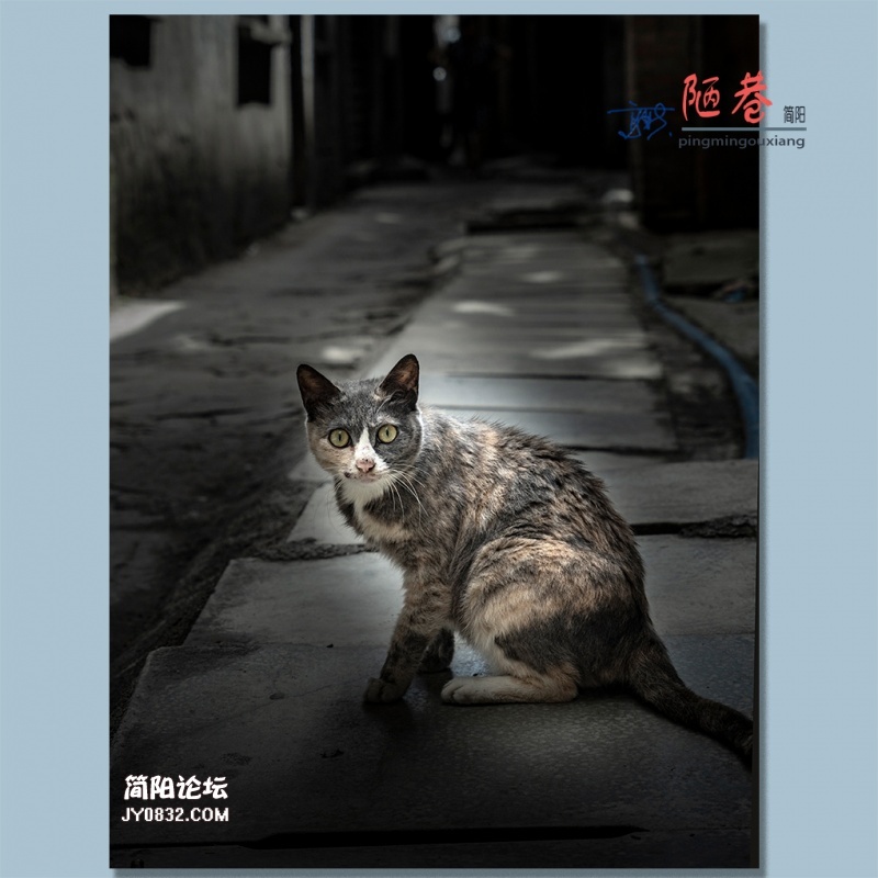 陋巷——13.jpg