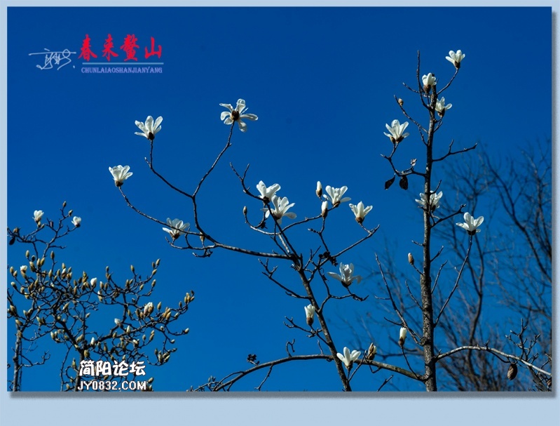 春来鳌山——19.jpg