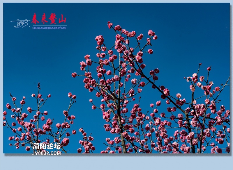 春来鳌山——30.jpg