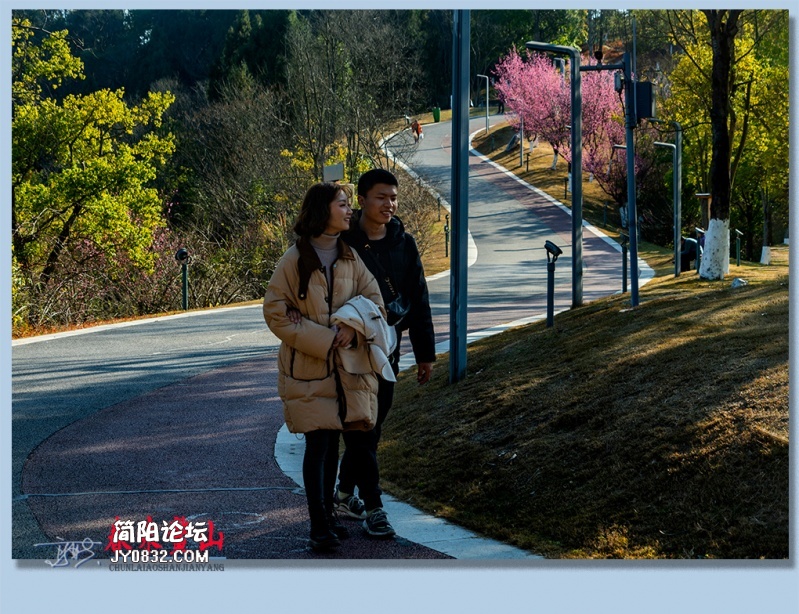 春来鳌山——35.jpg