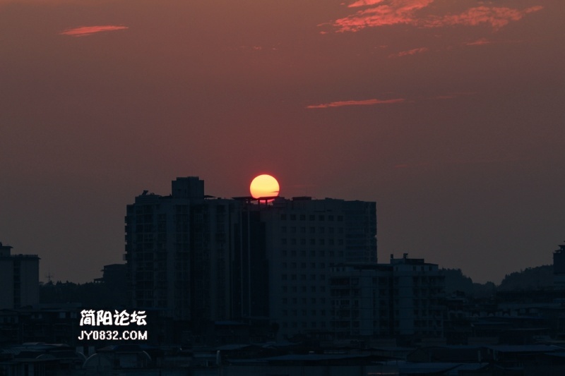 IMG_5063.jpg