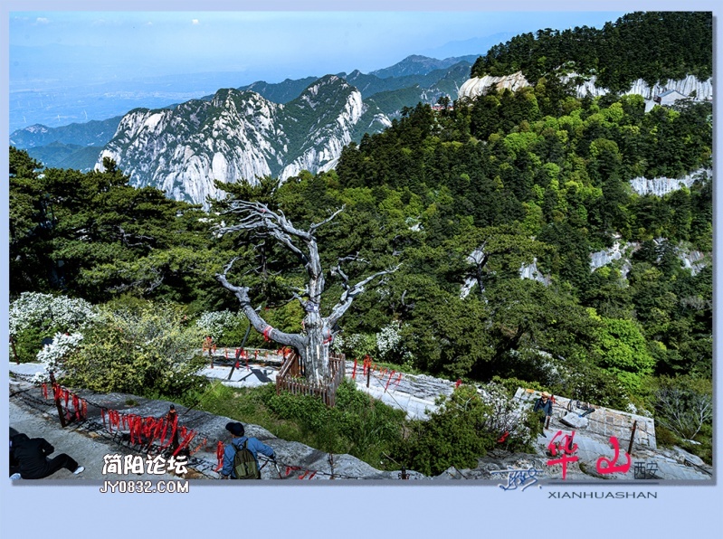 华山——28.jpg