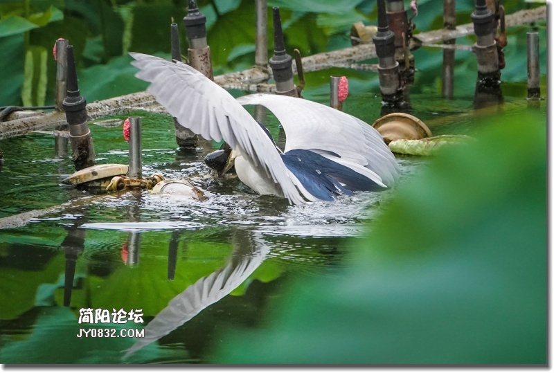 DSC08015_副本.jpg