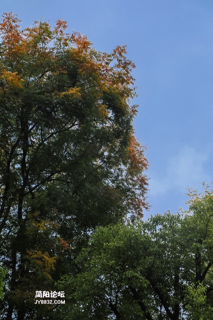 3C7A2532.jpg