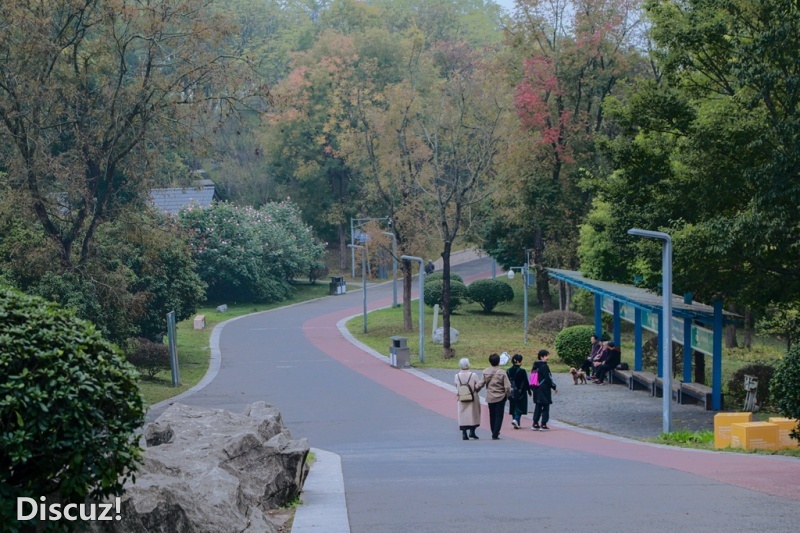 3C7A3074.jpg