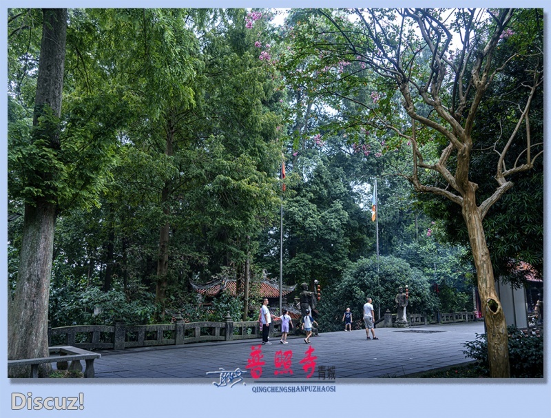 10——普照寺.jpg