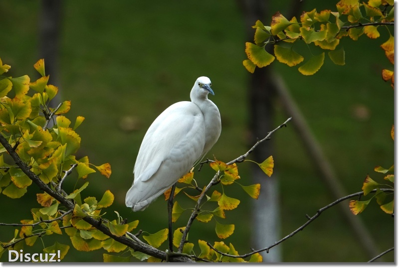 DSC07870_副本.jpg