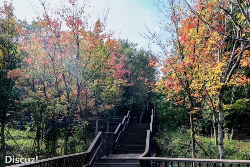 3C7A3011.jpg