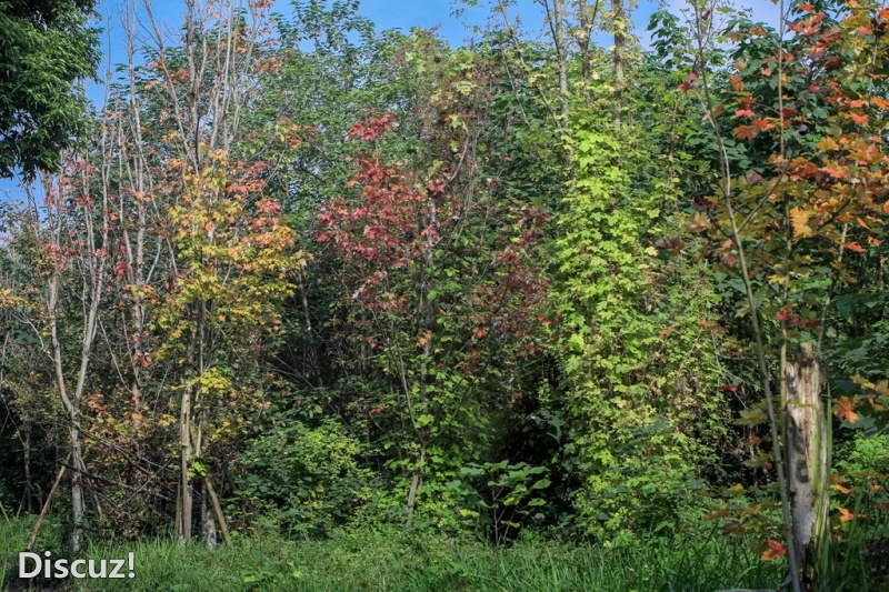 3C7A2991.jpg