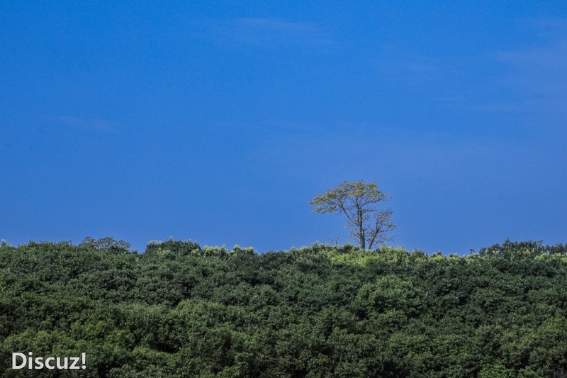 3C7A2987.jpg