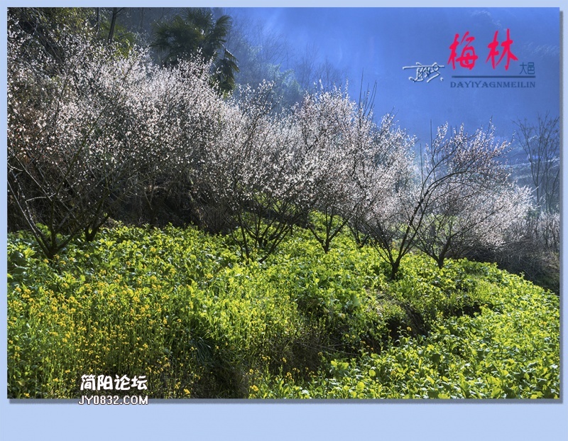 01——梅林.jpg
