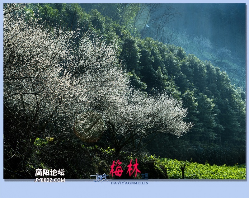 08——梅林.jpg