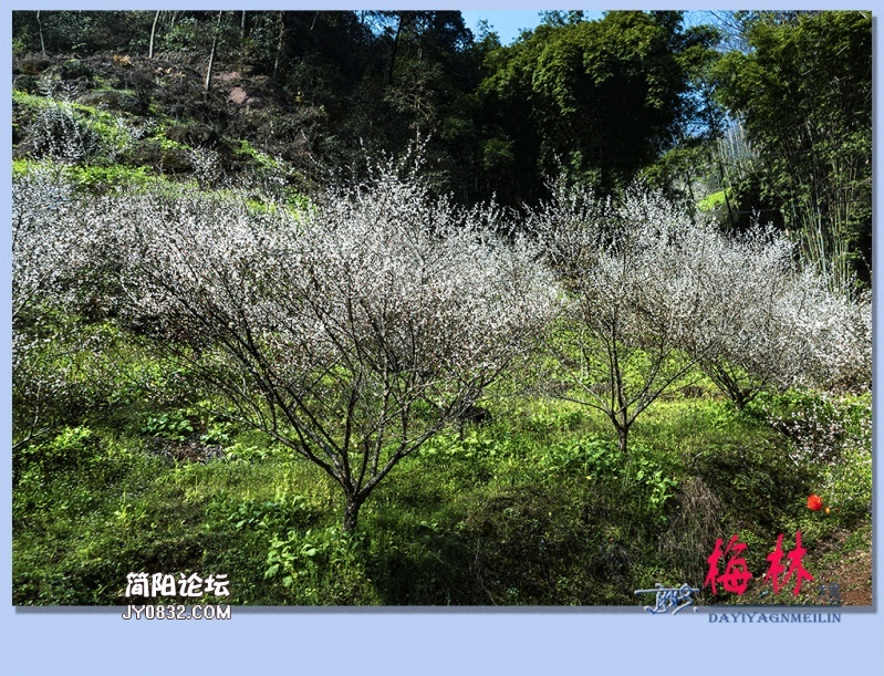28——梅林.jpg