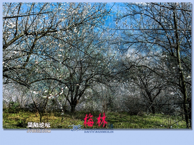 33——梅林.jpg