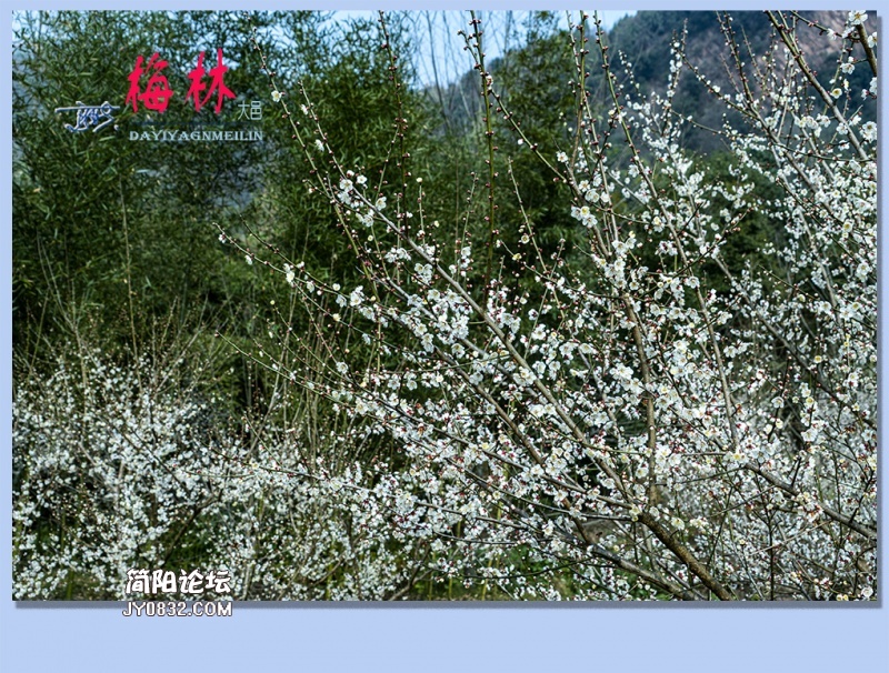 47——梅林.jpg