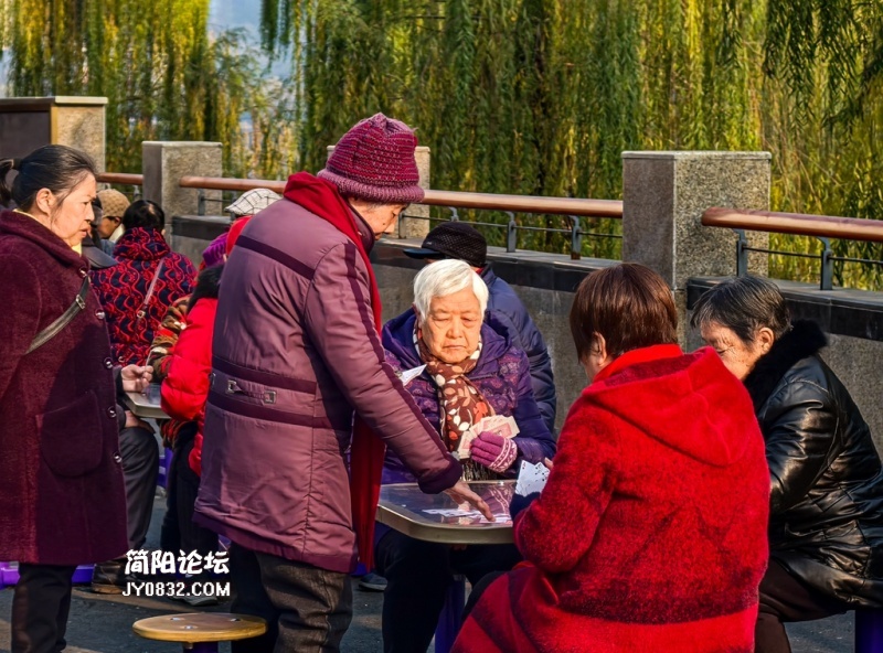 晚晴--“天意怜幽草，人间重晚晴”表达对晚年生活的珍视和重视，象征老年人安享晚年、.jpg
