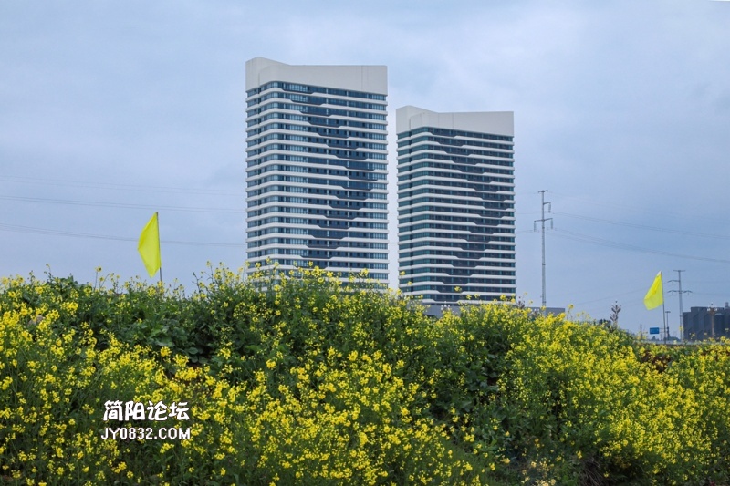 3C7A3533.jpg