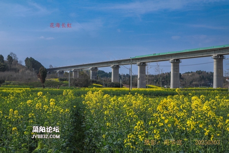 3C7A3696.jpg