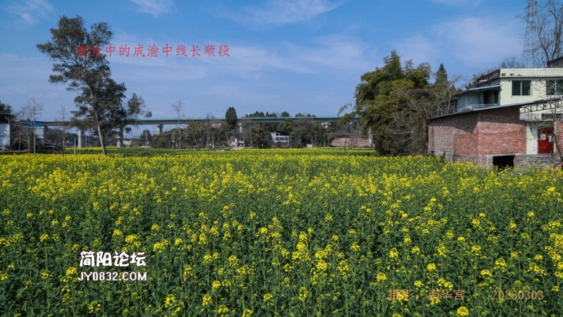 3C7A3677.jpg