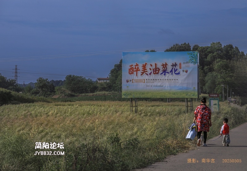 3C7A4225.jpg