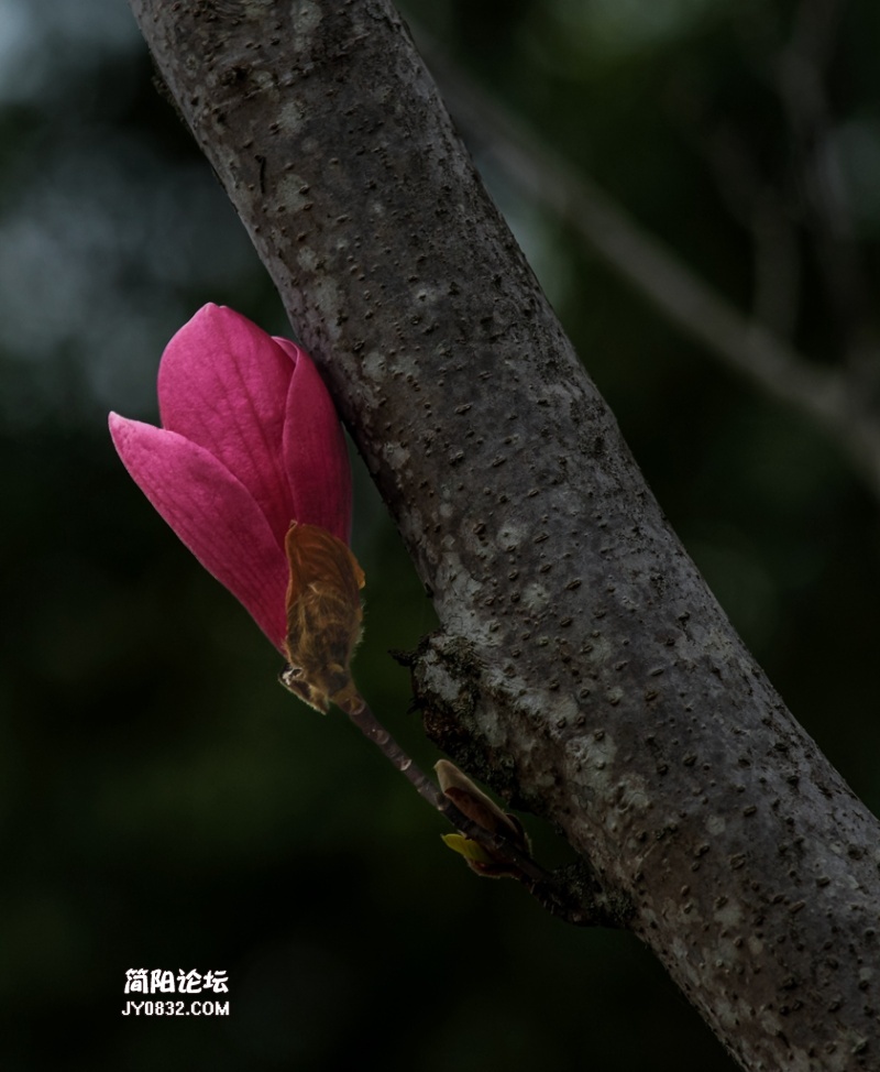 IMG_5879.jpg