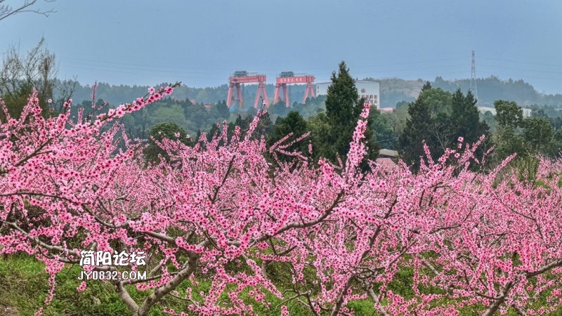 建政村_20250322170126.jpg