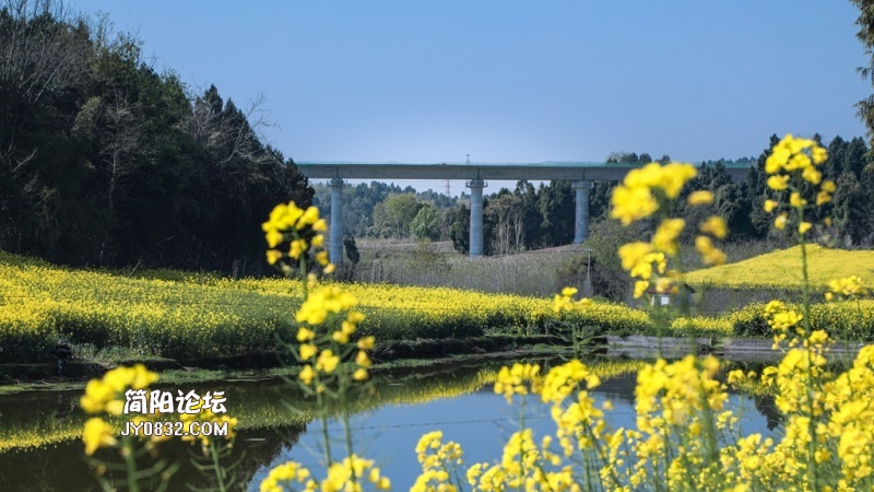 3C7A4025.jpg
