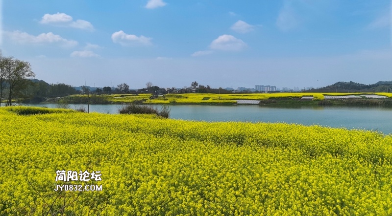 城南中坝.jpg