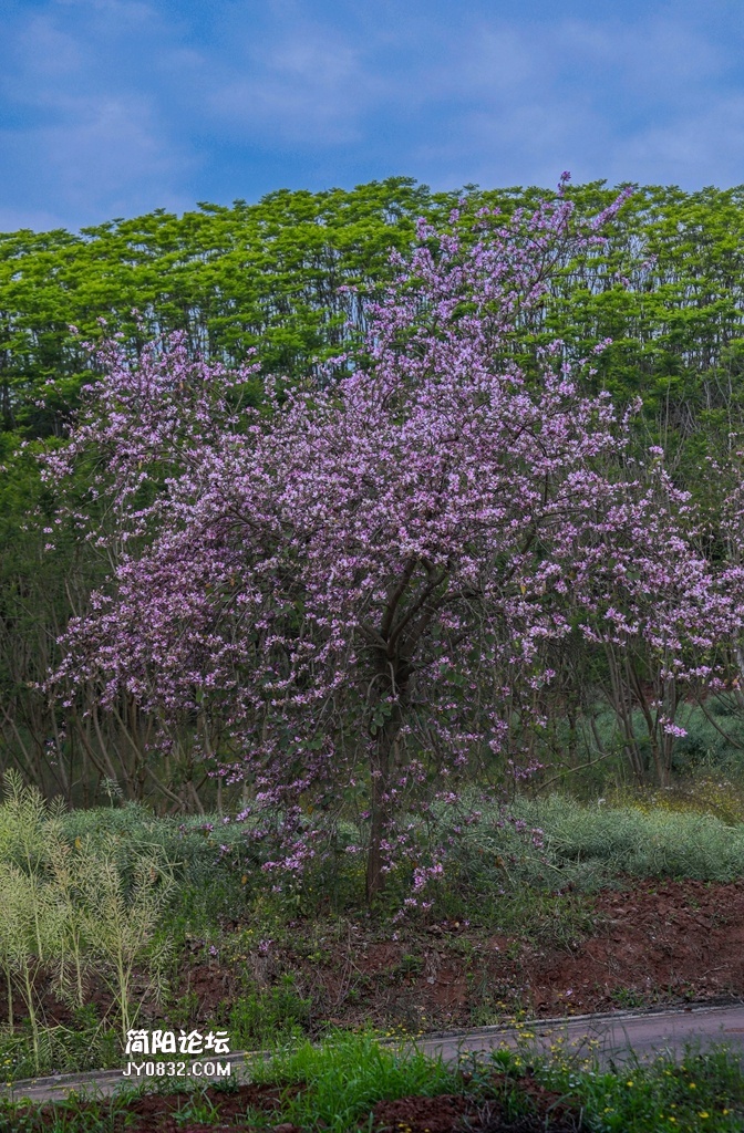 3C7A4137.jpg