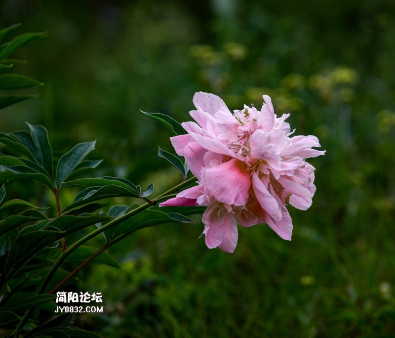 3C7A4149.jpg