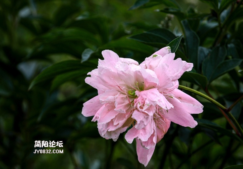 3C7A4150.jpg