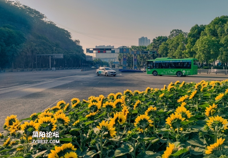晨曦中的东溪大道.jpg