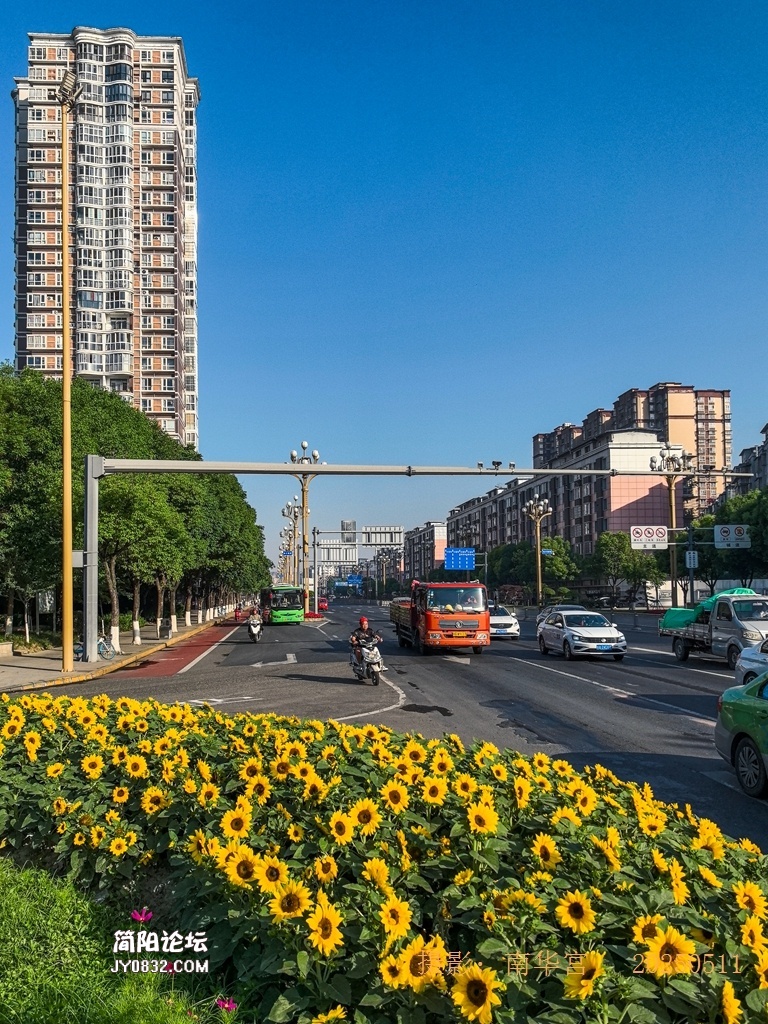 晨曦中的雄州大道.jpg