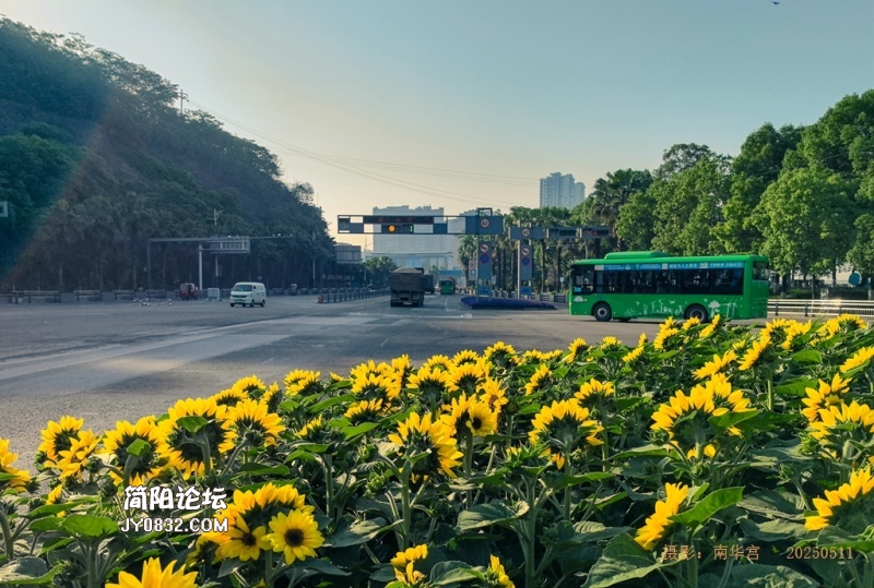 晨曦中的东溪大道--2.jpg
