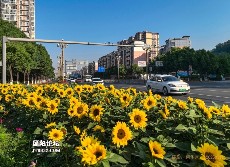 晨曦中的雄州大道--2.jpg