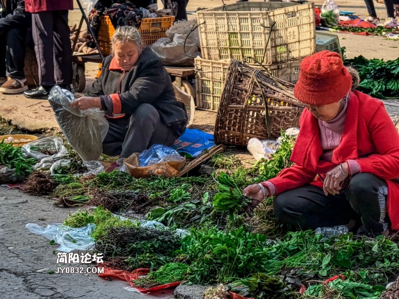 草药摊3.jpg