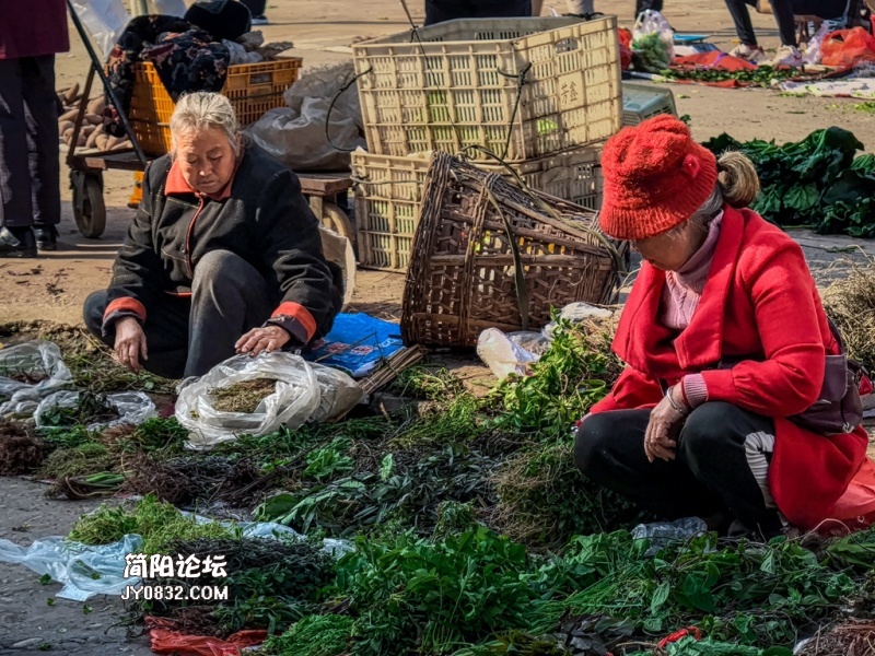 草药摊4.jpg