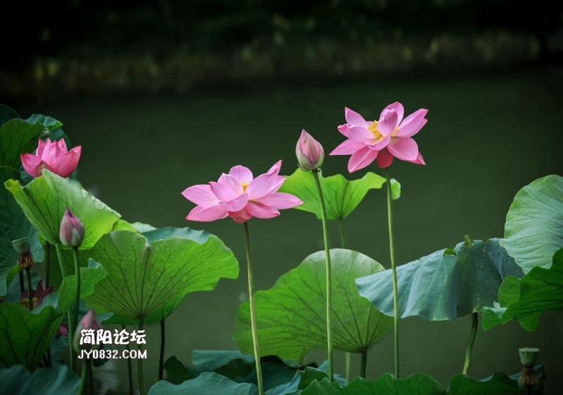3C7A5170.jpg