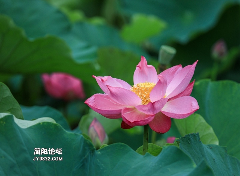 3C7A5165.jpg