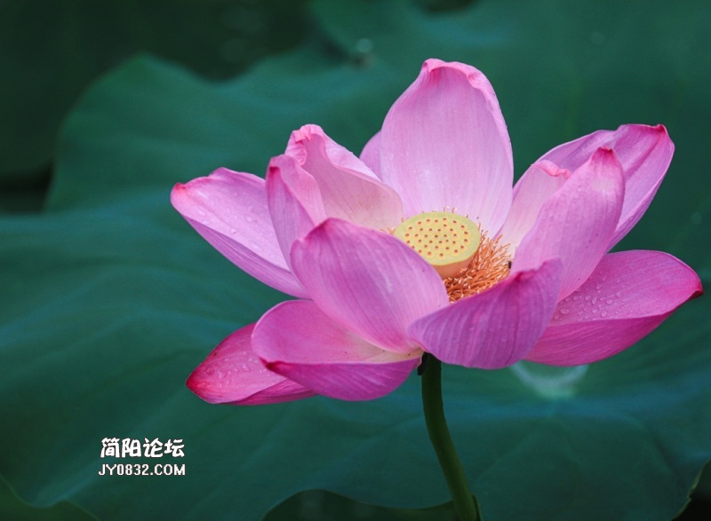 3C7A5210.jpg