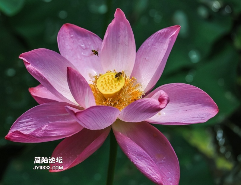 3C7A5225.jpg