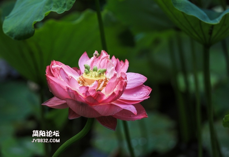 3C7A5289.jpg