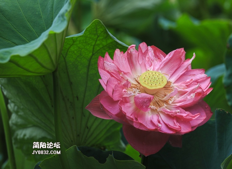 3C7A5292.jpg