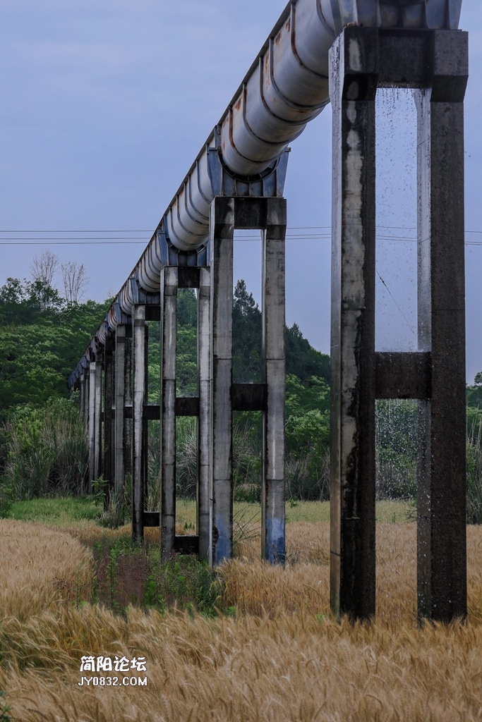 3C7A4500.jpg