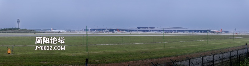 芦葭观景20250510--1.jpg