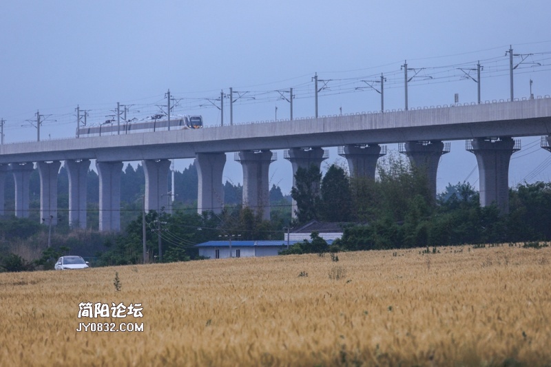 3C7A4469.jpg
